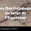 TDM_2016_Galapagos_sel03 2_Pan1.mp4