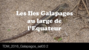 TDM 2016 Galapagos sel03 2 Pan1