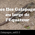 TDM_2016_Galapagos_sel03 2_Pan1.m4v