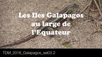 TDM 2016 Galapagos sel03 2 Pan1