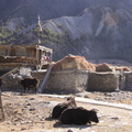 IMG_2794.JPG