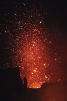 IMG 0639