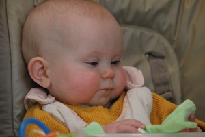 IMG 7555