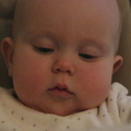 IMG_7767.jpg