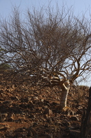 IMG 9788