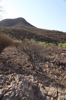 IMG 9797