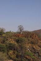 IMG 9802