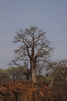 IMG 9803