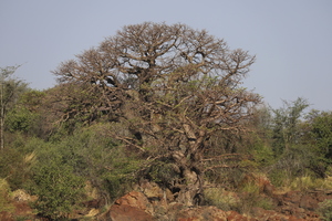 IMG 9811