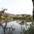 IMG_9849.jpg