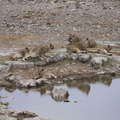 IMG_1991.jpg