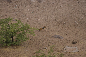 IMG 0629