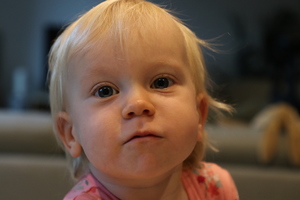 IMG 9091