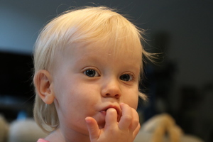 IMG 9093