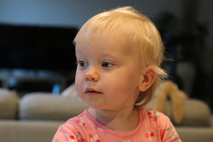 IMG 9106