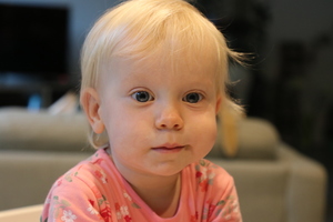 IMG 9110