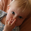 IMG_8943.JPG