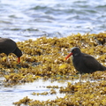 IMG_2161 - Version 2.jpg
