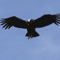 IMG_2623 - Version 2.jpg