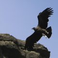 IMG_2715 - Version 2.jpg