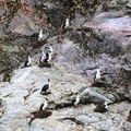 IMG_0273 - Version 2.jpg