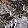 IMG_0273 - Version 3.jpg