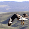 IMG_0393 - Version 2.jpg