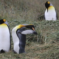 IMG_1266 - Version 2.jpg