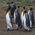 IMG_1274 - Version 2.jpg