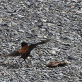 IMG_1532 - Version 2.jpg