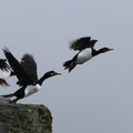 IMG_0003 - Version 2.JPG