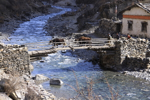 Nepal IMG 1476