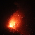 IMG_5731.JPG