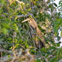 IMG 6691 DXO02