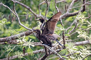 IMG 9273 DxO03