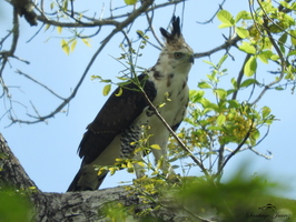 RSCN9827