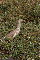 IMG 0023 DXO01