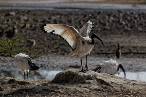 IMG 0069 DXO01