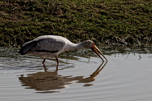 IMG 0090 DXO01