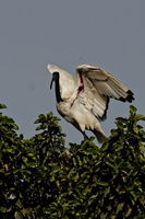 IMG 0108 DXO01