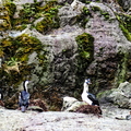 IMG_0340_DXO02.jpg