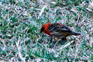IMG 0811 DXO02