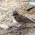 IMG_1039_DXO02.jpg