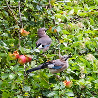 IMG 0063 DXO01