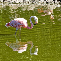 IMG 0147 DXO01