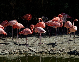 IMG 0148 DXO01