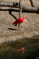IMG 0163 DXO01