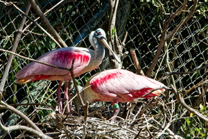 IMG 0169 DXO01