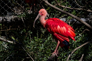 IMG 0178 DXO01