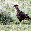 IMG_1719_DXO02.jpg